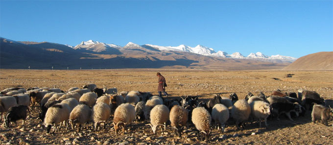 Tsurphu to Yangpachen Trekking