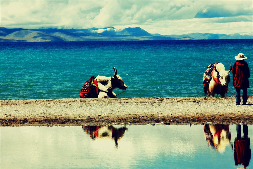 Lhasa Yamdrok Lake Tour